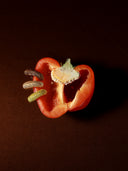 ORA SMALL EARCUFF THE BROWNS